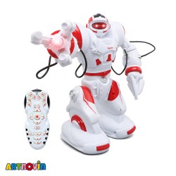 ربات کنترلی حرفه ای آیتم 28091