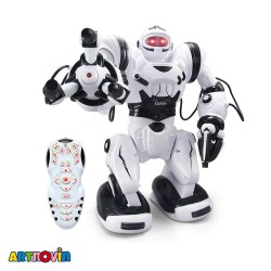 ربات کنترلی حرفه ای آیتم 28091