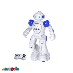 ربات کنترلی هوشمند آیتم R21